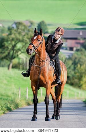 Young woman riding a bay horse outdoors in spring. Girl and Trakehner stallion walking together in park.