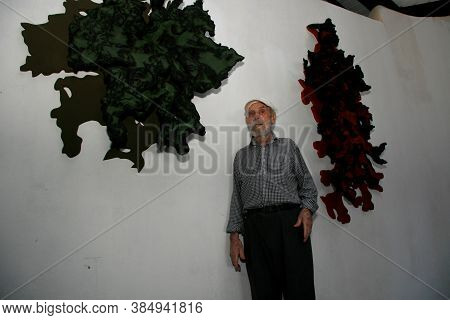 Nova Vicosa, Bahia / Brazil - October 27, 2008: Frans Krajcberg, Artist And Environmentalist, Is See