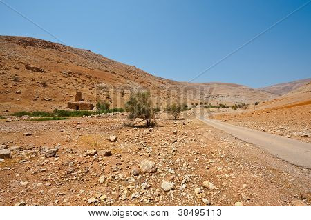 Rovine nel deserto