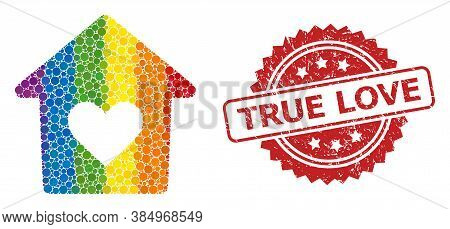 Lovely House Mosaic Icon Of Spheric Elements In Variable Sizes And Lgbt Colored Color Tones, And Tru