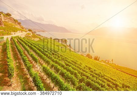 Scenic Landscape Of Lavaux Vineyard Terraces At Sunset And Lake Geneva Or Lake Leman. Lavaux, A Unes