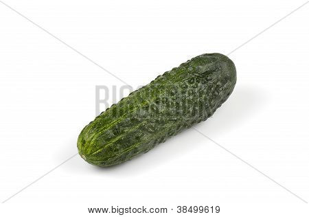Pepino