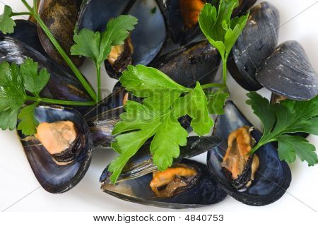 Mušle s petrželkou