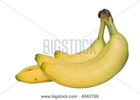 Banany