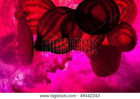 sliced raw beet in water. Close up