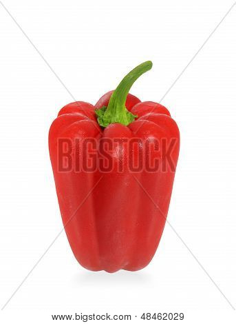 Red Capsicum