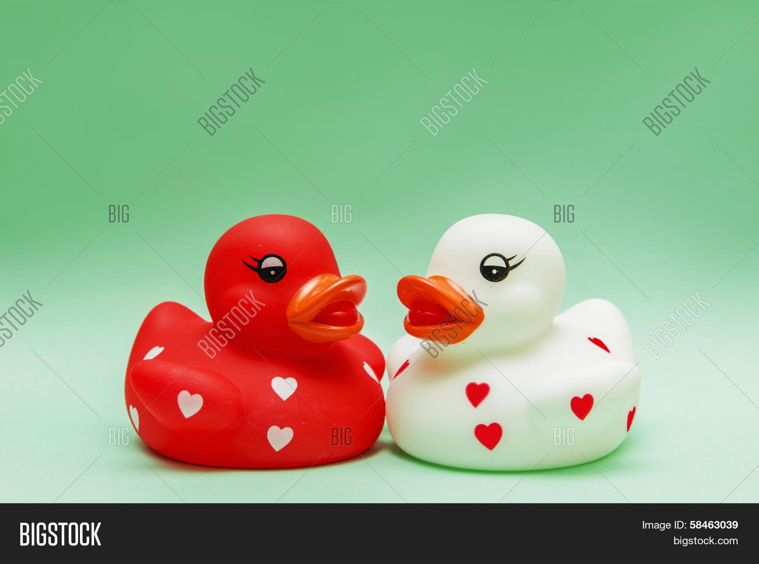 спящие утята. влюбленные утята. милые уточки. утята. уточка живая.