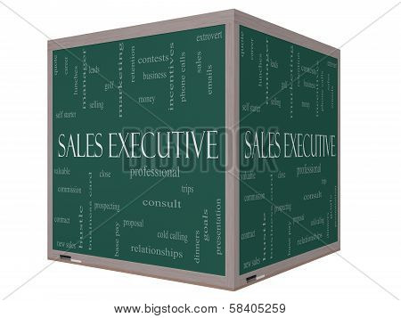 Sales Executive Word Cloud Concept On A 3D Cube Blackboard