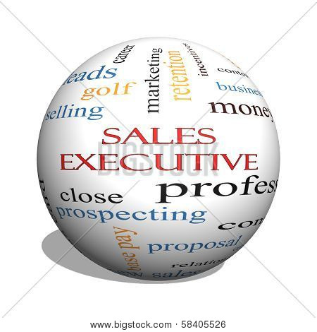 Sales Executive 3D Sphere Word Cloud Concept