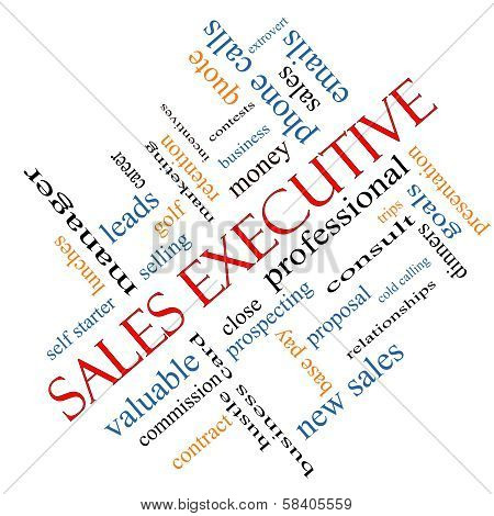 Sales Executive Word Cloud Concept Angled