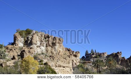 Upland Sonoran Natural Area