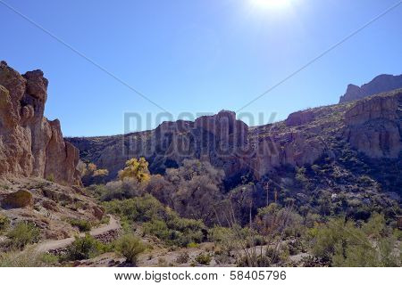 Upland Sonoran Natural Area