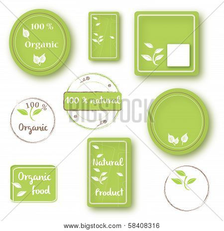 Stamp bio