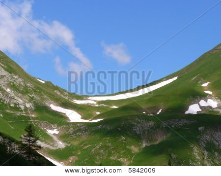 las sosnowy i doliny
