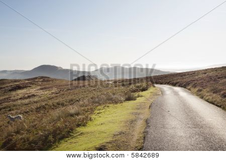 Opuszczony Moor Road