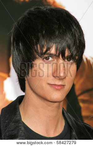 WESTWOOD, CA - DECEMBER 07: Chad Rogers at the premiere of 