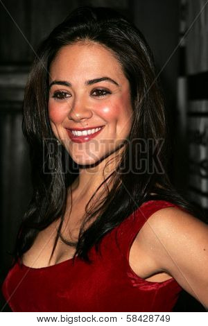 HOLLYWOOD - DECEMBER 07: Camille Guaty at Howard Fine's Ball of Fire December 07, 2006 in Boardners, Hollywood, CA.