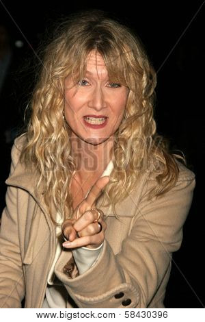 LOS ANGELES - DECEMBER 09: Laura Dern at the Los Angeles Premiere of Inland Empire at LACMA December 09, 2006 in Los Angeles, CA