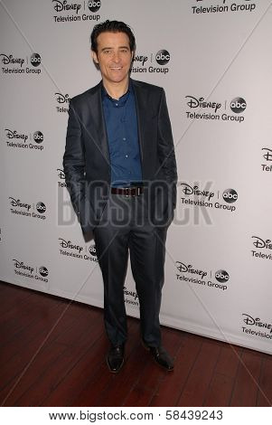 Goran Visnjic at the Disney ABC Television Group 2013 TCA Winter Press Tour, Langham Huntington Hotel, Pasadena, CA 01-10-13