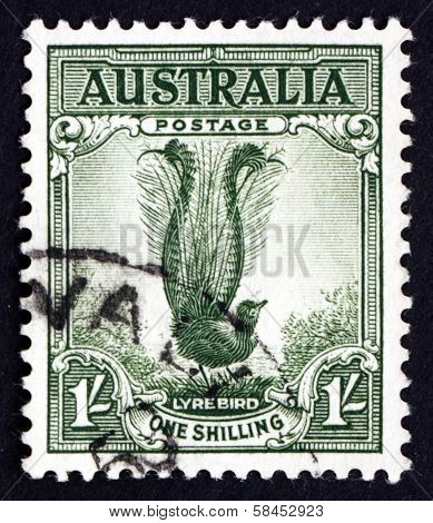 Postage Stamp Australia 1941 Male Superb Lyrebird, Songbird