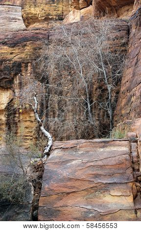 Colorful Rock Formations Of Petra In Jordan