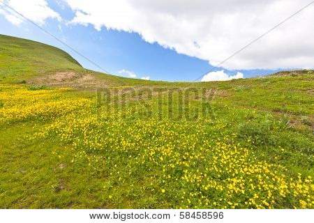 Spring landscape in Armenia