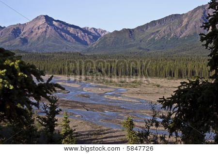 Denali Park Tundra