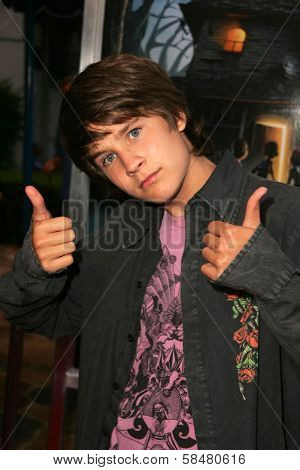 WESTWOOD - JULY 17: Devon Werkheiser at the premiere of 