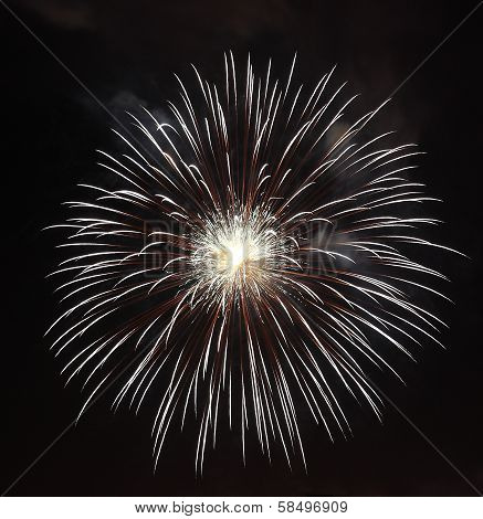 Fireworks Flower