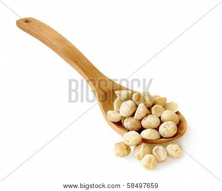 macadamia
