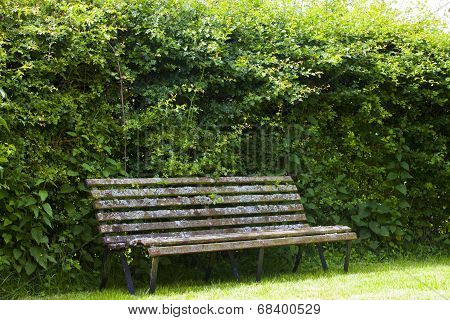 Old bench covered with moss in a formal garden