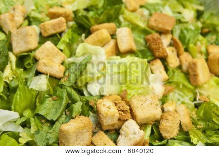 Salada Caesar com Croutons