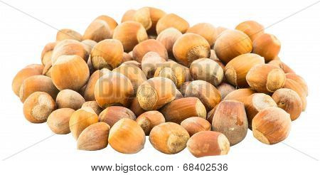 Hazelnuts Isolate