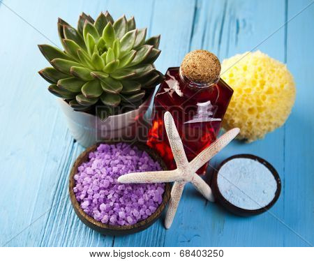 Spa and wellnes