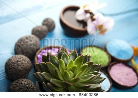Spa and wellnes