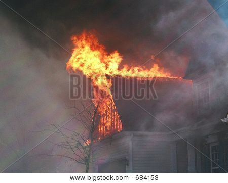 brand 07