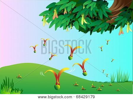 plant vector