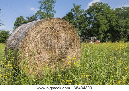 Hay Bales And Tractor