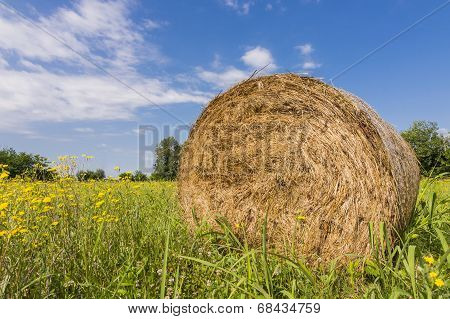 Hay Bales