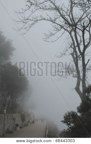 Erice