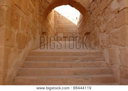 Libia