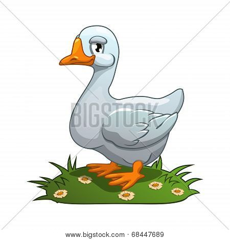 white goose