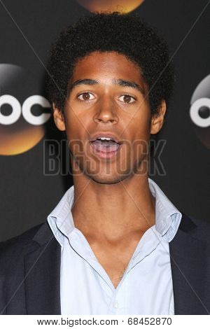 LOS ANGELES - JUL 15:  Alfred Enoch at the ABC July 2014 TCA at Beverly Hilton on July 15, 2014 in Beverly Hills, CA