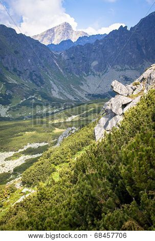Nature In High Tatras, Slovakia