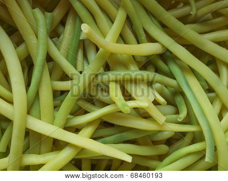 Green Bean