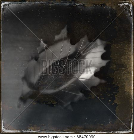 Instagram filtered image of a metallic fall leaf