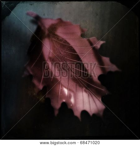 Instagram filtered image of a red metallic fall leaf