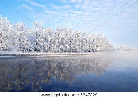 Winter Trees Reflecting In Water