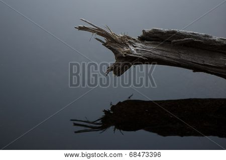 Reflection in water