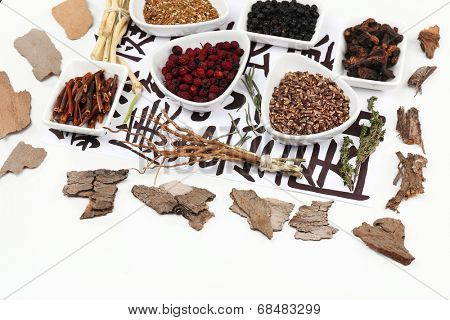 Traditional chinese herbal medicine ingredients on not real hieroglyphs, close-up
